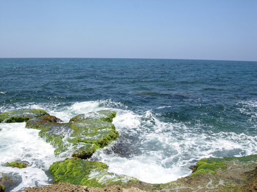 Jerusalem, Israel - King, 1