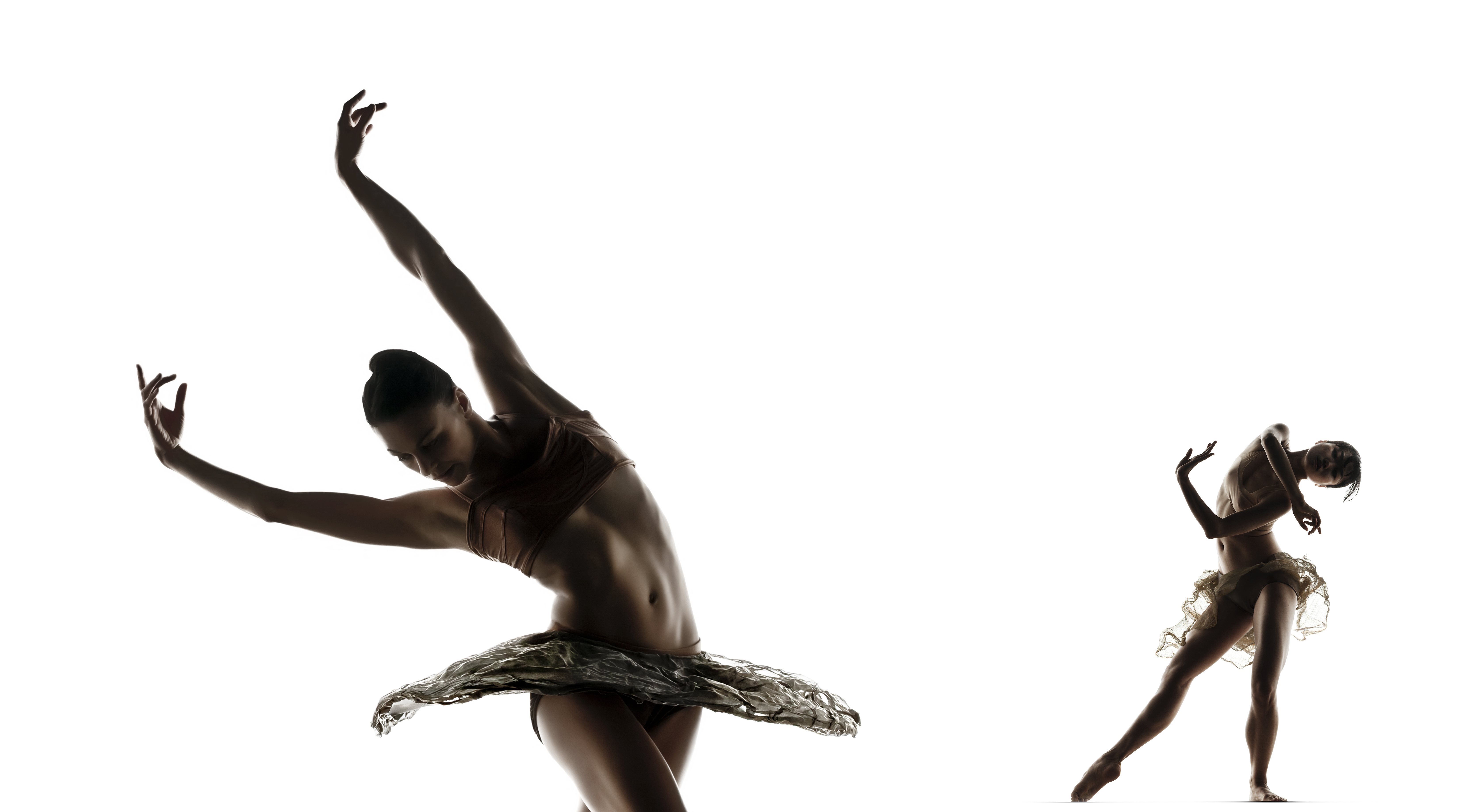 C_Book_AlonzoKing_120607_657-1051