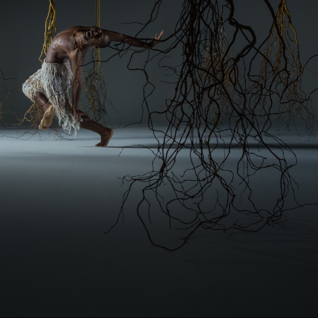 Alonzo King LINES Ballet dancer Babatunji dancing amidst hanging vines and branches; his back is arched while balancing on one leg on relevé with bent knee; his face is pointing towards the camera/viewer and his arms are extended back behind his torso