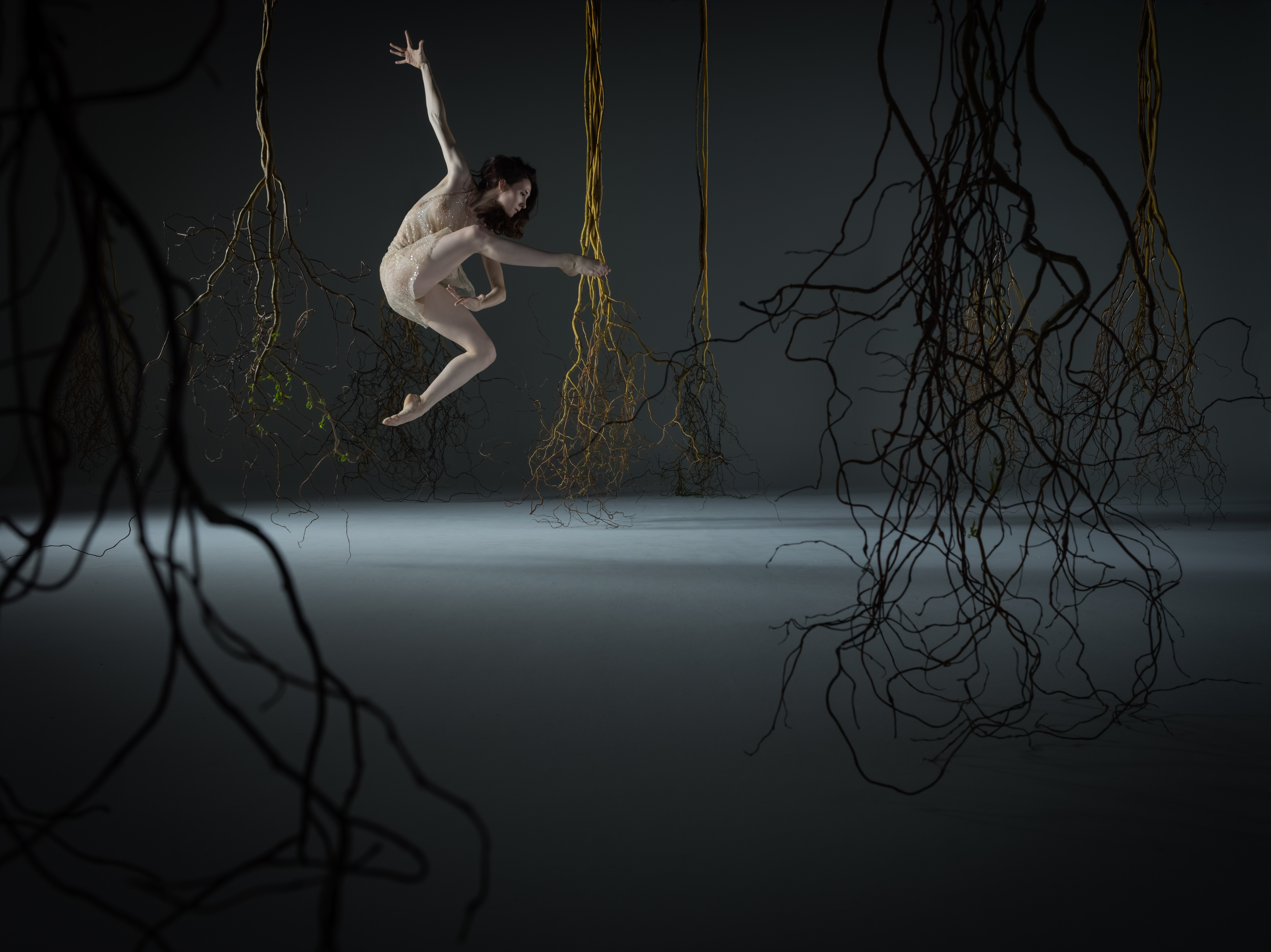 LINES Ballet Company Dancer Maya Harr jumping amidst branches against a gray background